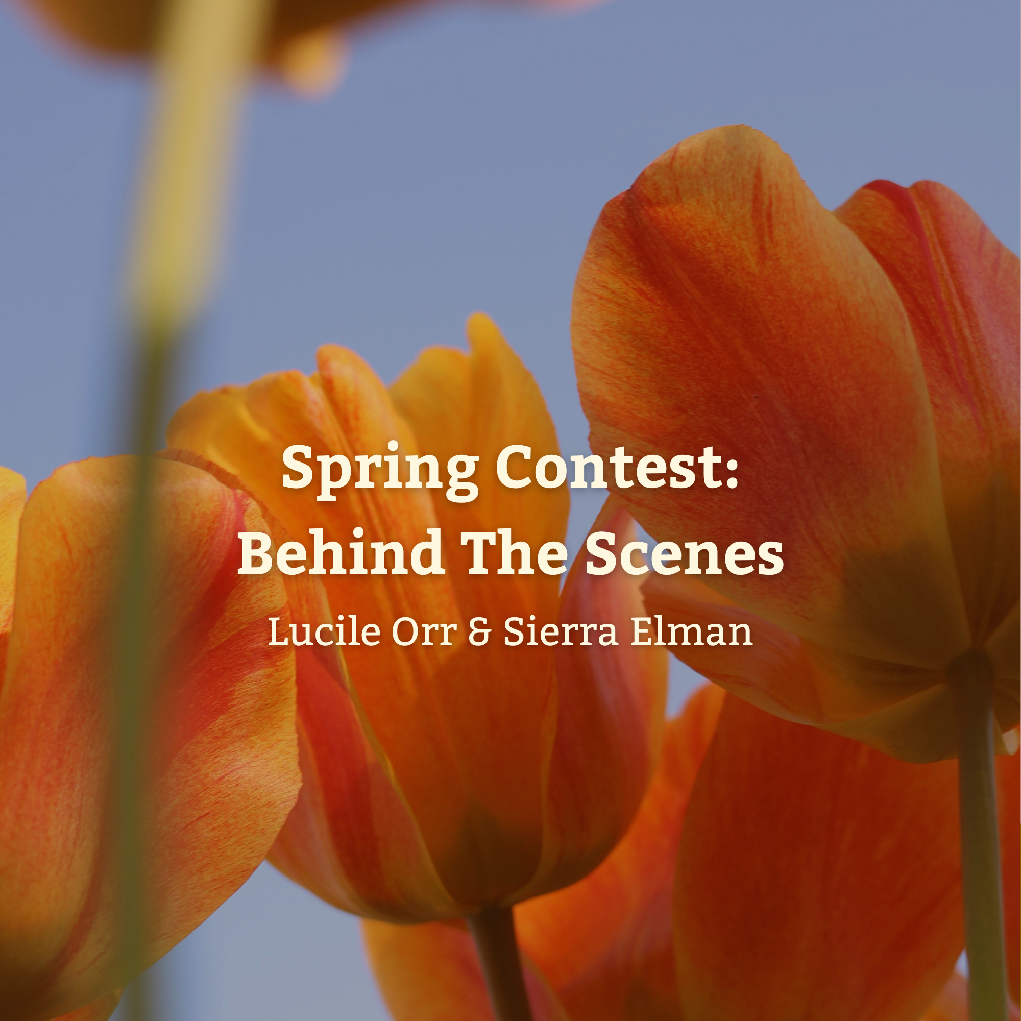 Spring flowers behind the text "Spring Contest"