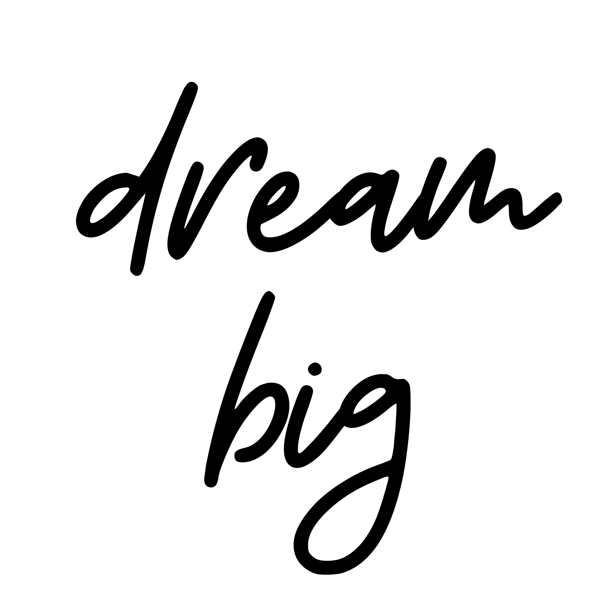 🌟 Welcome to the Big Dream Store