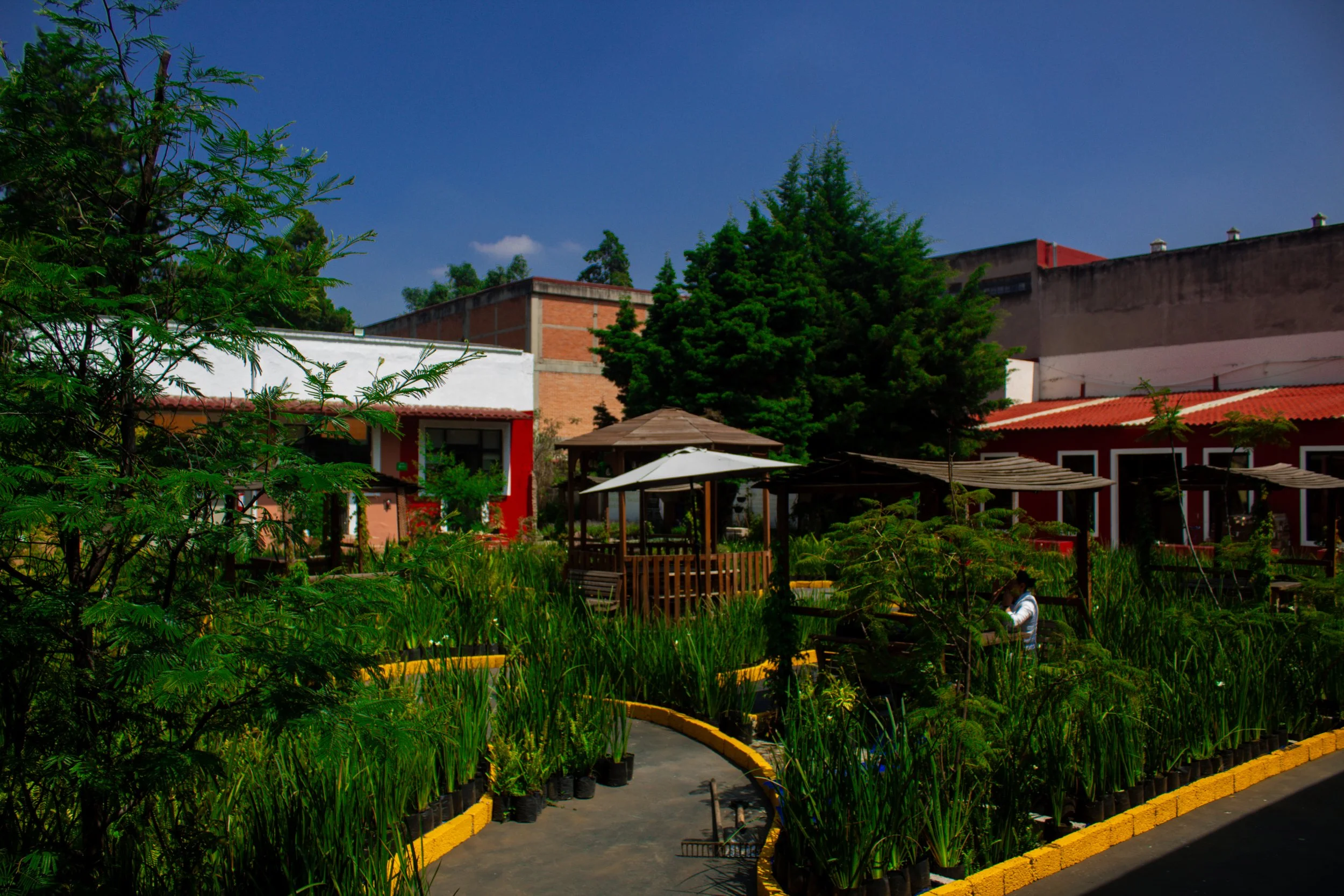 Un jardín urbano con plantas verdes, caminos y áreas de descanso con pérgolas y sombrillas, en un entorno de edificios y árboles, bajo un cielo despejado.