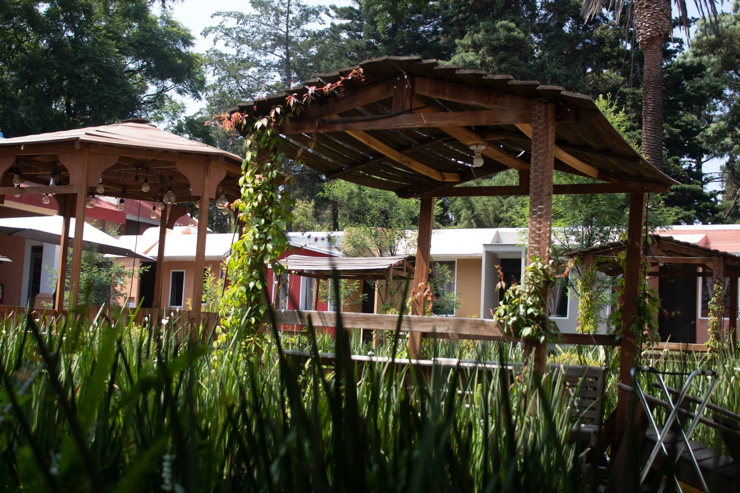 Estructuras de madera cubiertas con techos en un jardín con vegetación y casas coloridas en el fondo.
