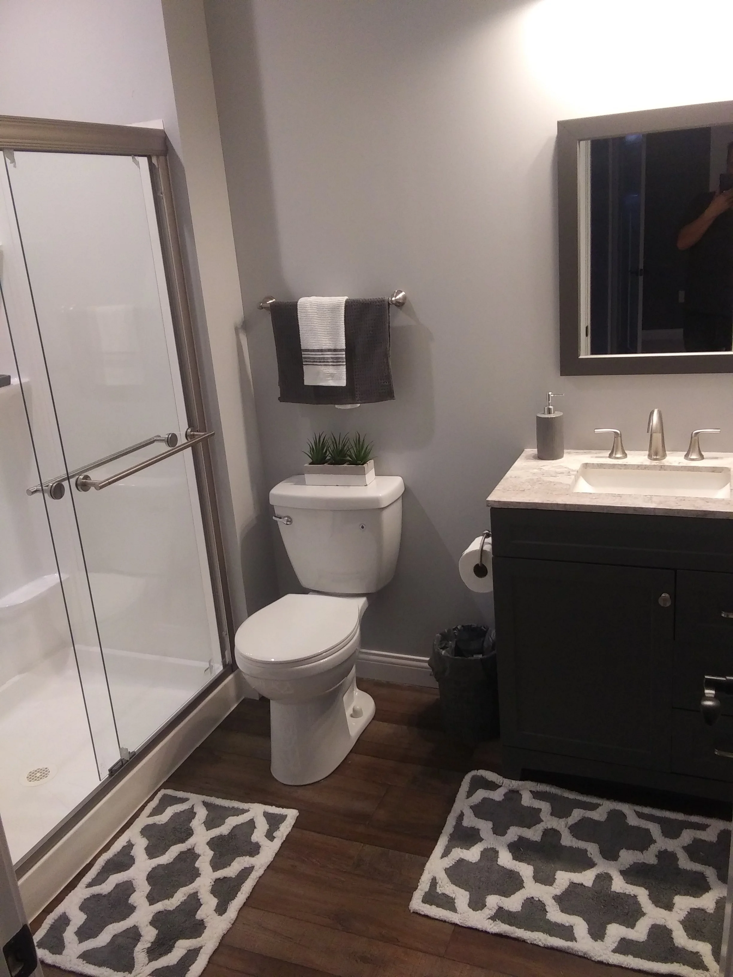 A bathroom with a shower, toilet, dark vanity with a marble countertop, mirror, and a small plant. Two gray and white patterned rugs on a dark hardwood floor, and a trash can beside the vanity.