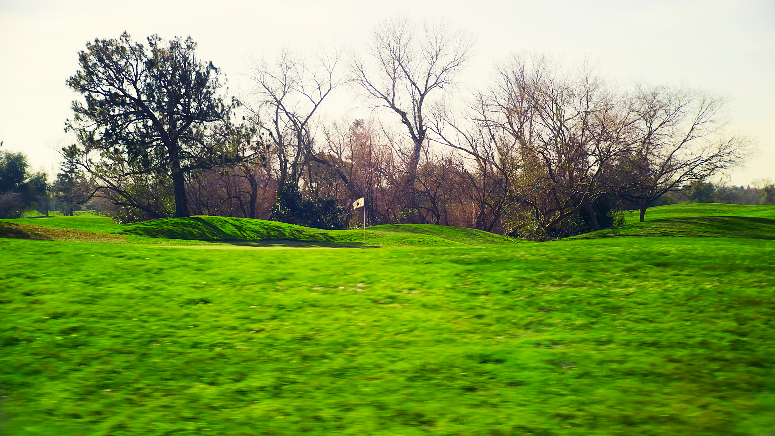 Golf course with green grass, sand trap, flag, and trees in the background.