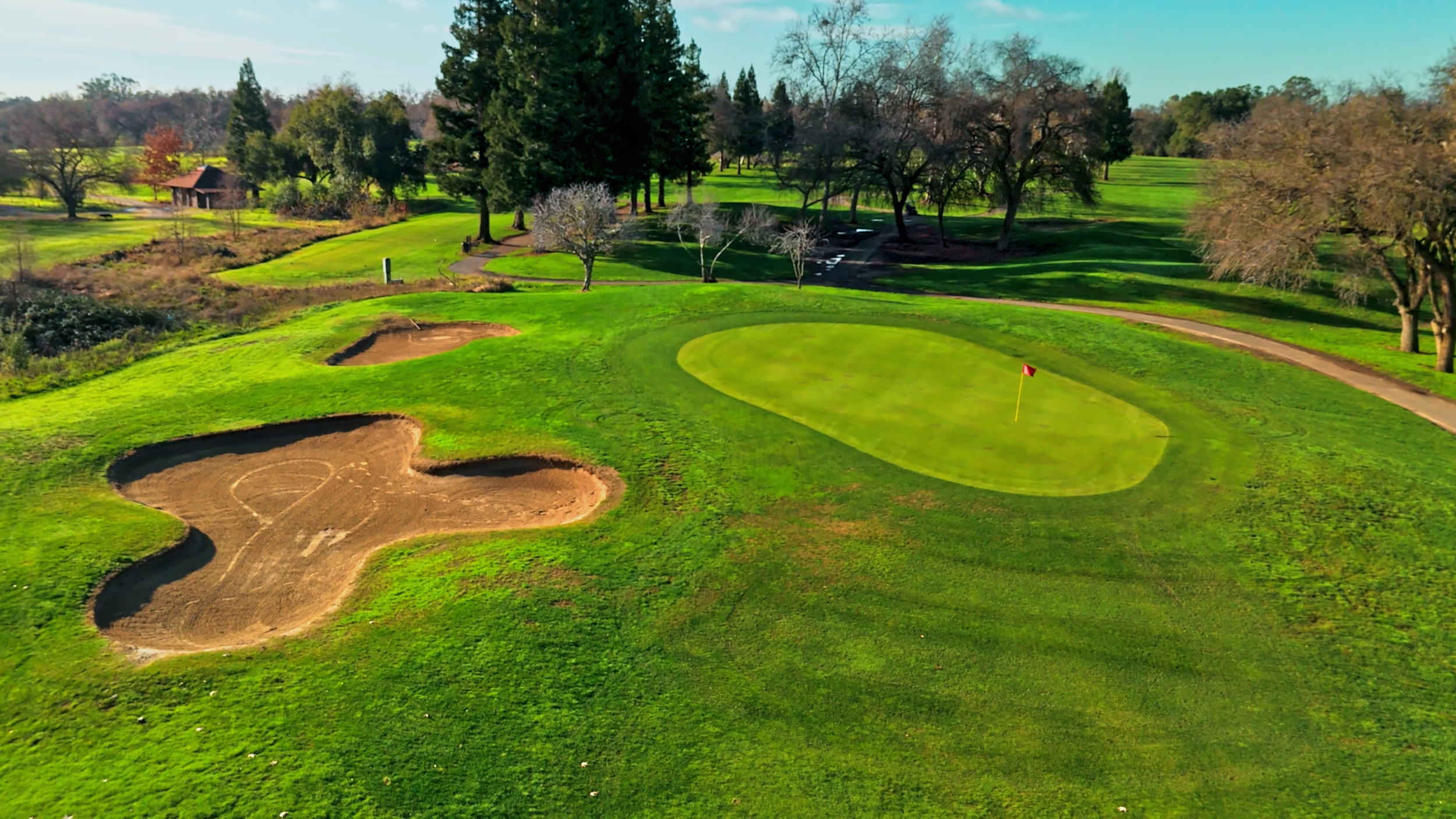 A golf course with a green and a flag, surrounded by sand traps and trees, under a clear sky.