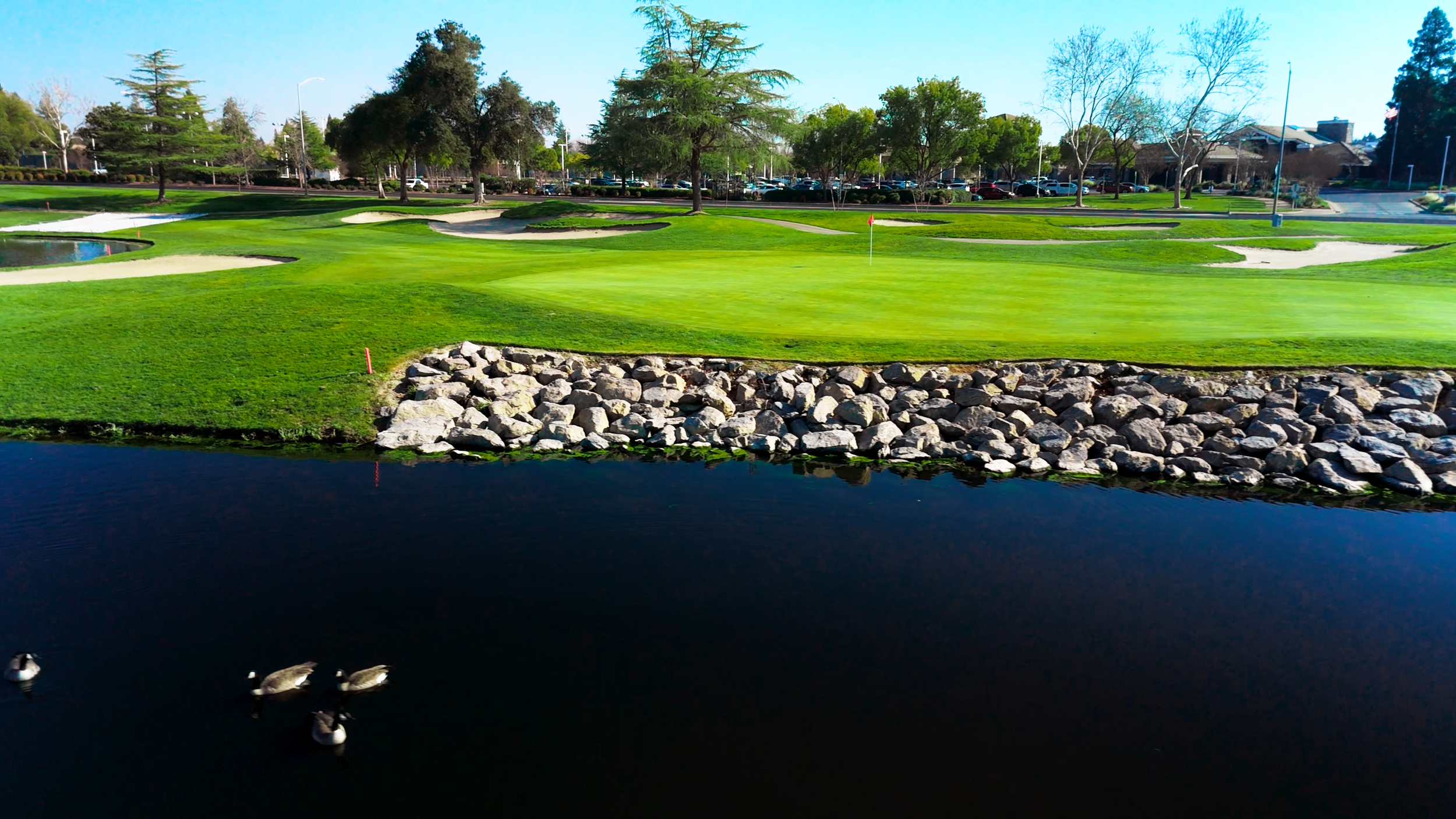 A golf course with green grass, sand bunkers, trees, and a water hazard with ducks swimming.