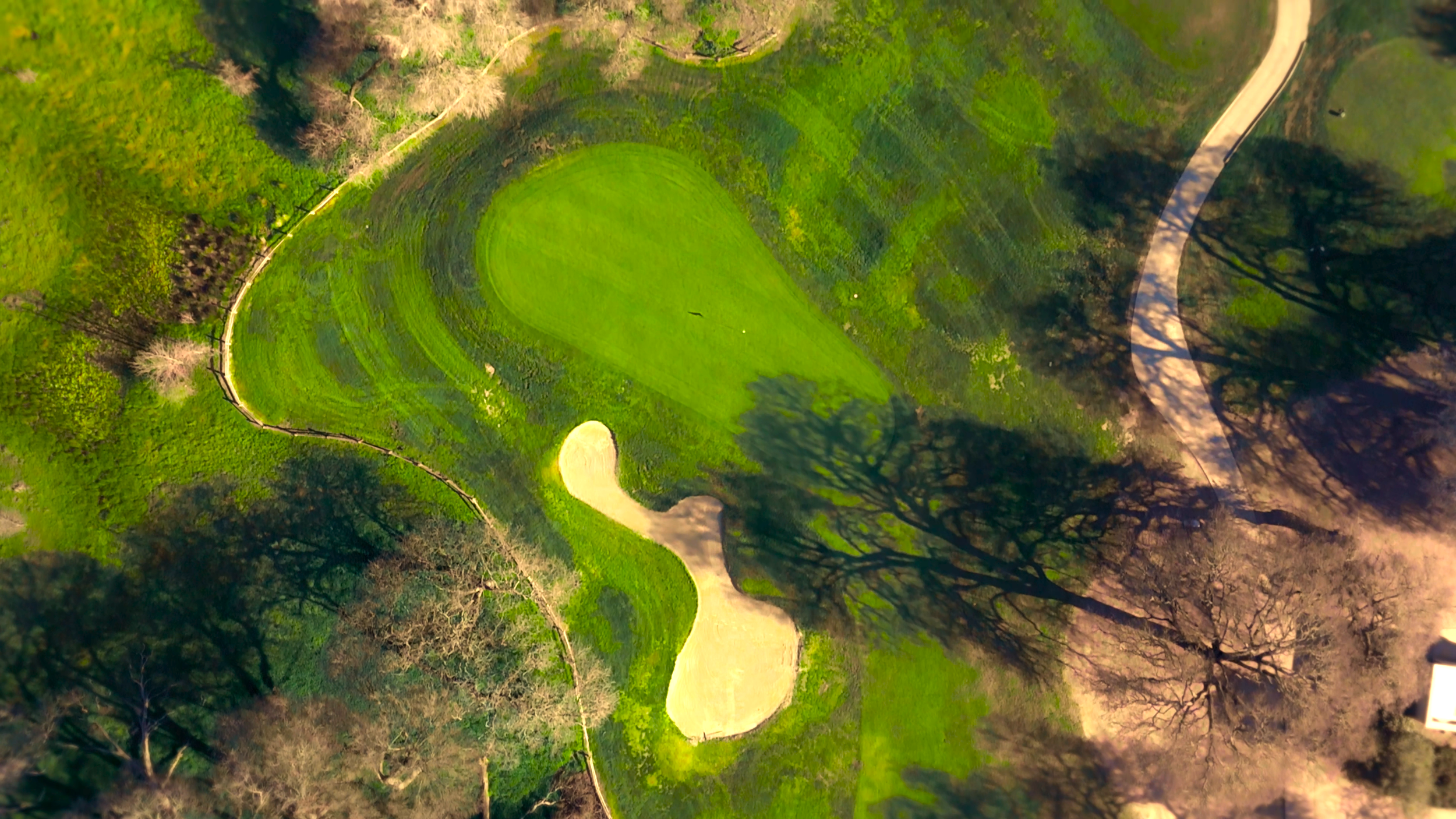 Aerial view of a golf course with a green, sand trap, and surrounding trees.