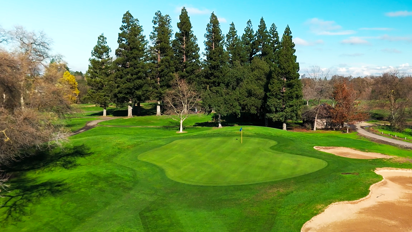 A golf course putting green with a white flagstick and ball, trees in the background, and the sun setting behind the trees.