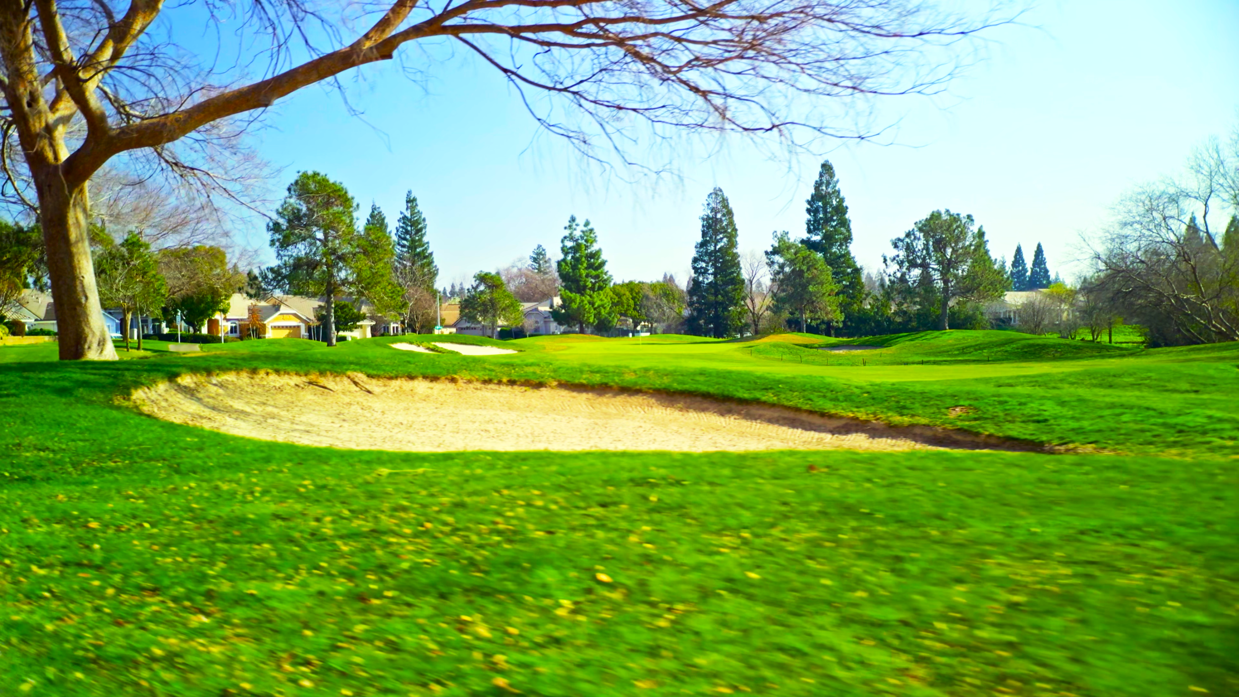 A golf course with a sand bunker, green grass, trees, and houses in the background on a sunny day.