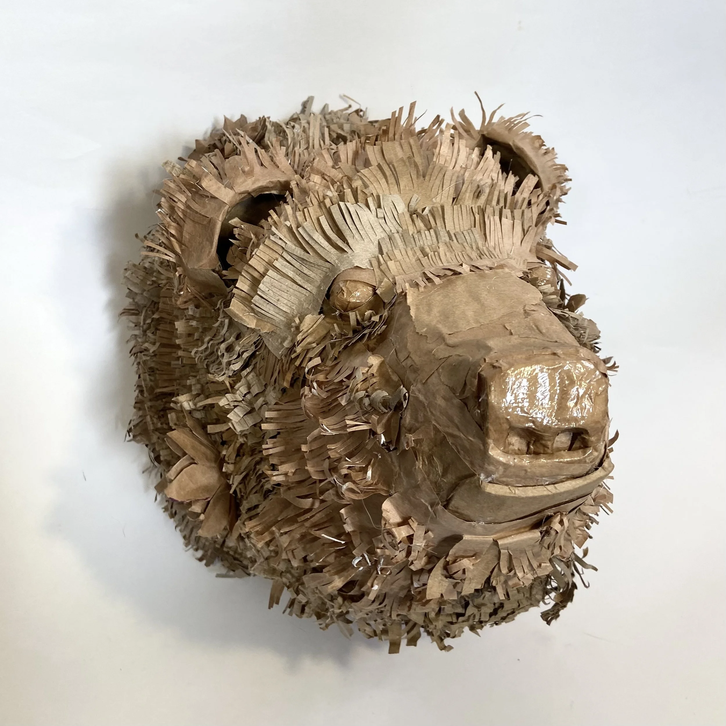 Bear Mount - Cardboard  2024