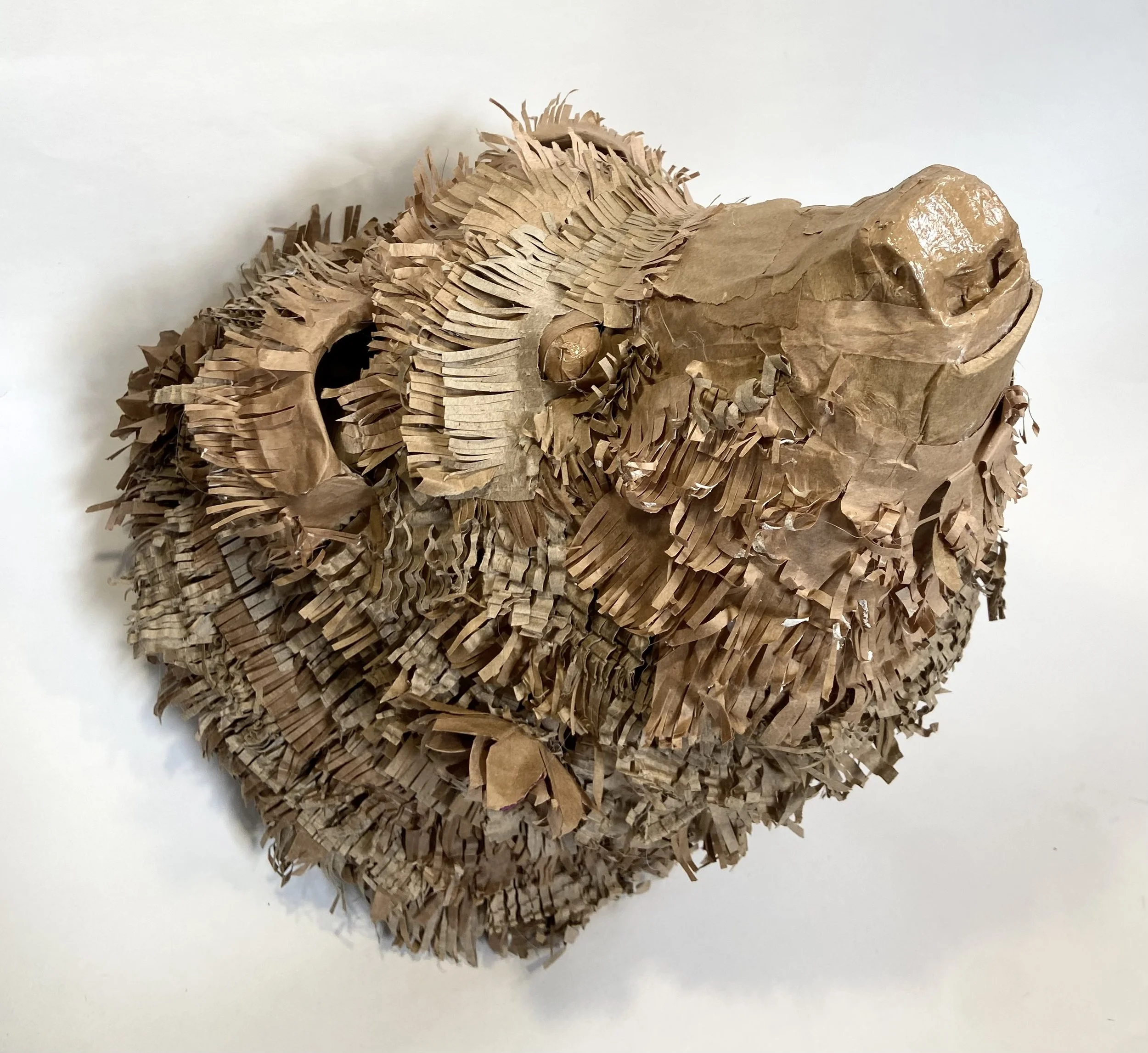 Bear Mount - Cardboard  2024