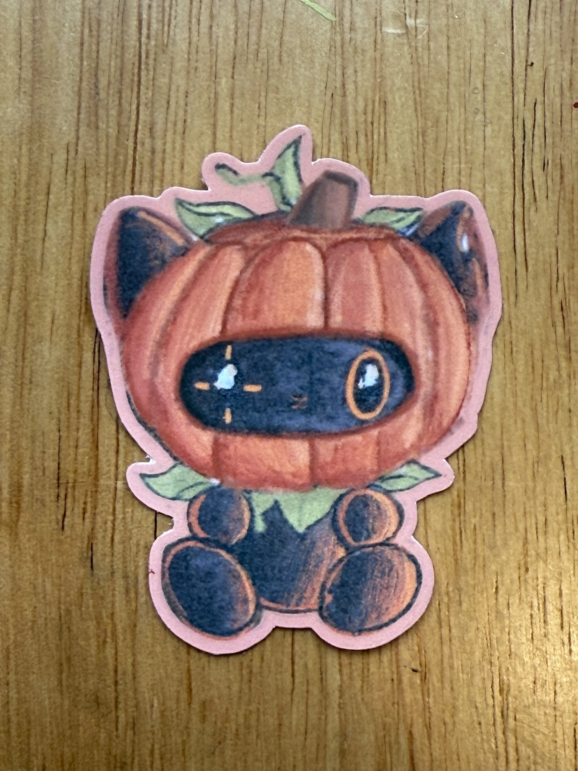 Pumpkin cat 4.jpg