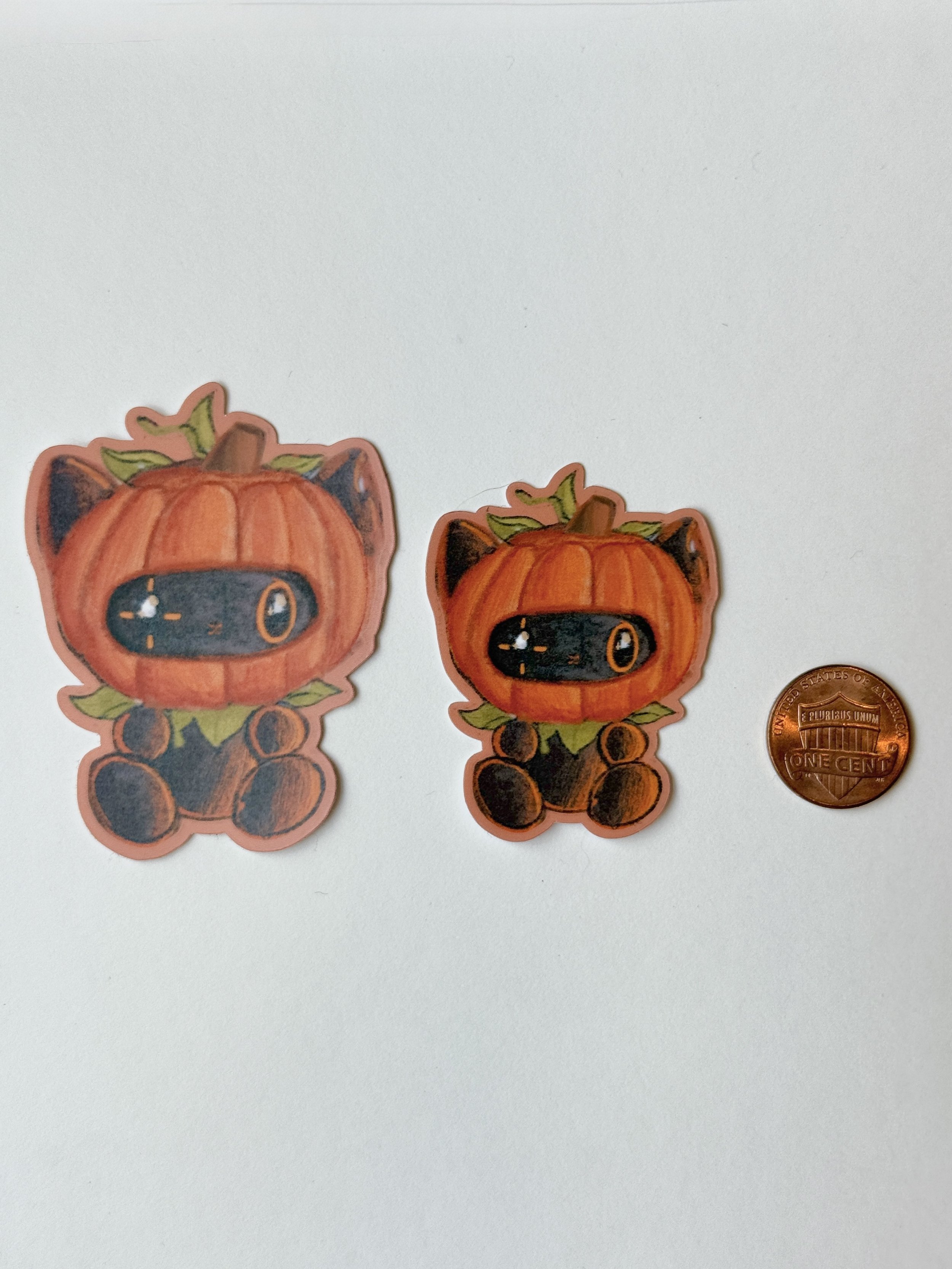 Pumpkin cat size 3 .jpg
