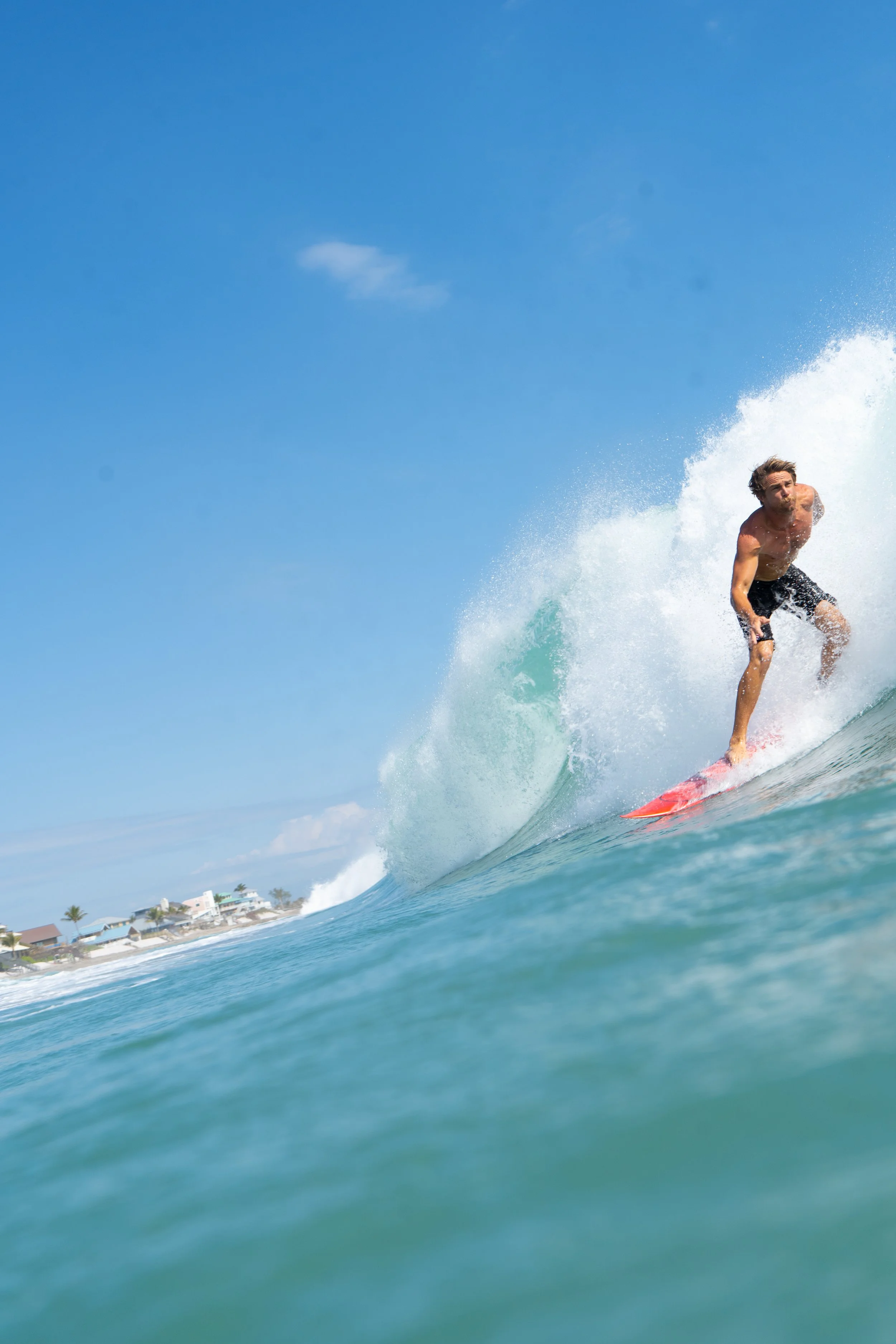 A man surfing on a wave in the ocean under a clear blue sky with a beach and houses in the background.