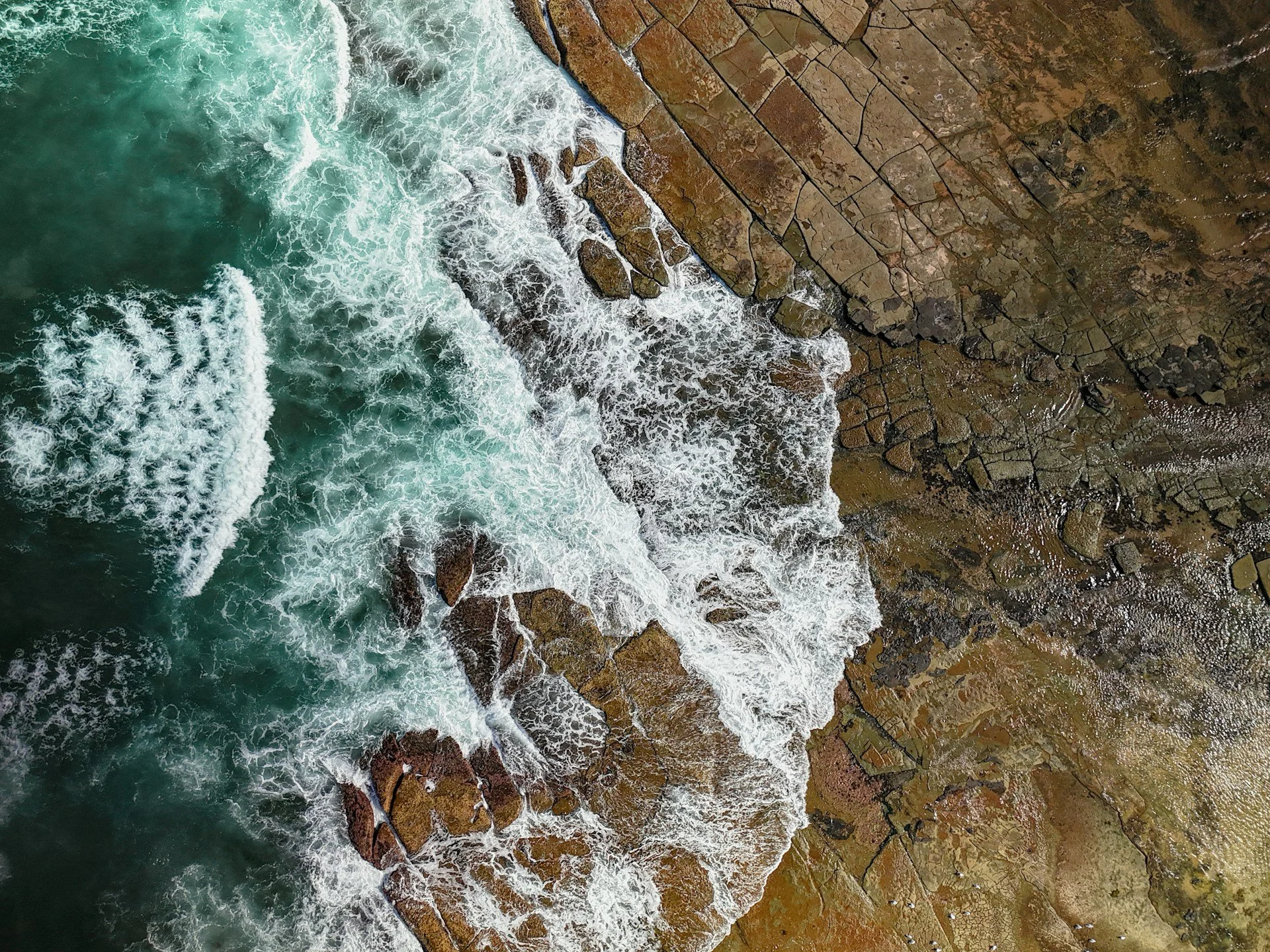 Coastline by Justin Biv, Unsplash