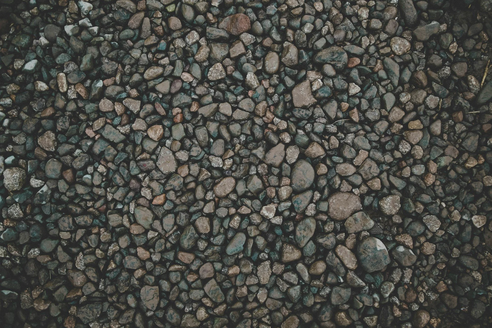 Beach by Oziel Gomez, Unsplash