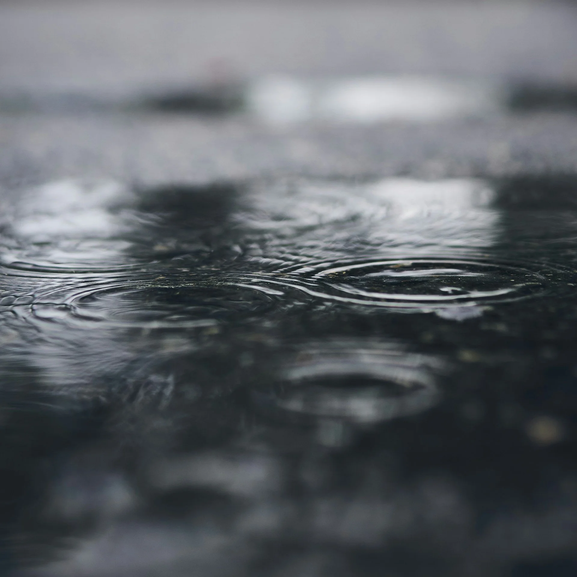 Puddly by Mark Boss, Unsplash