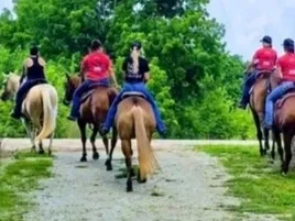 Five people riding horses along a trail surrounded by green trees.