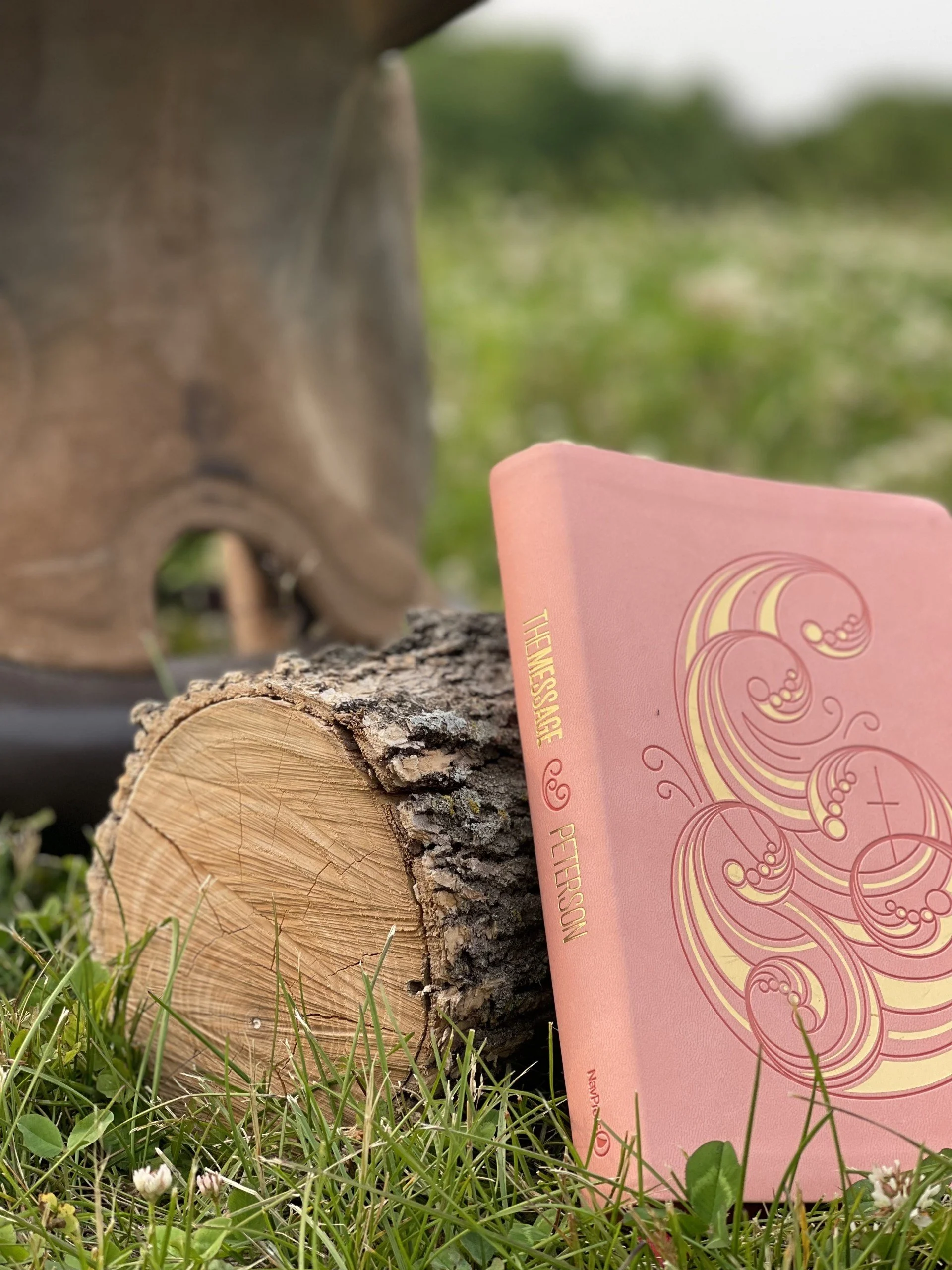 Join today! Women's Bible Study