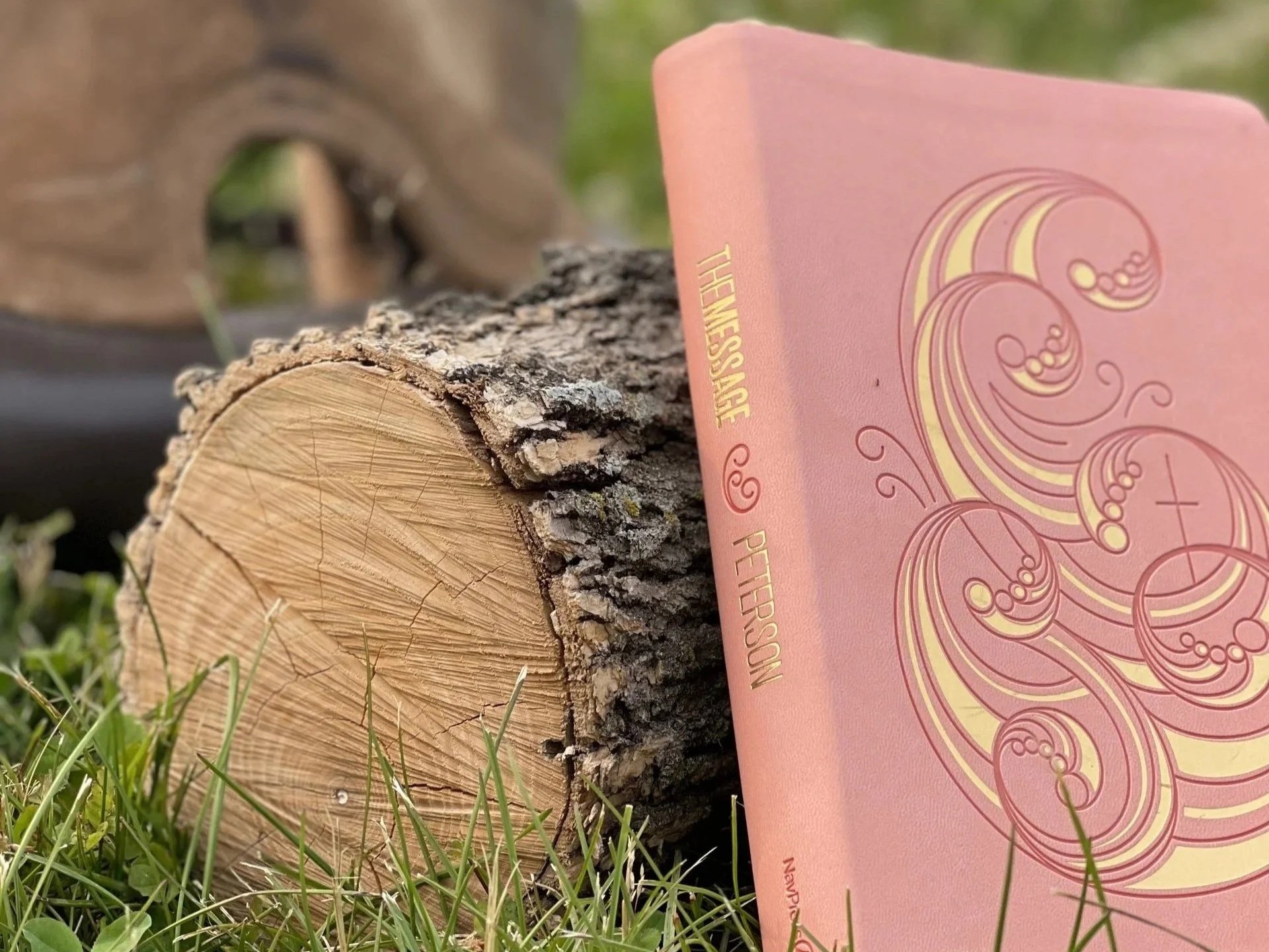 A cut log of wood on grass with a pink packet of seeds or fertilizer leaning against it.
