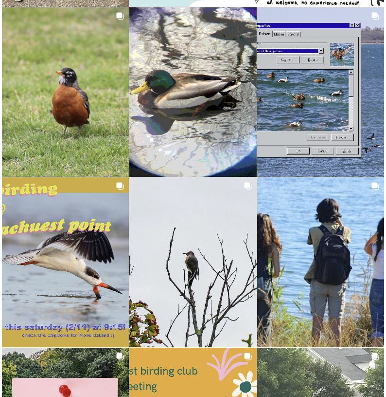 Screenshot 2025-10-09 at 9.10.28 PM.png