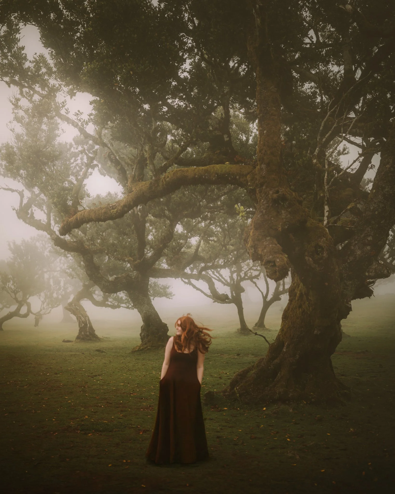 A woman in a long black dress stands in a foggy forest with twisted, moss-covered trees and sparse grass.