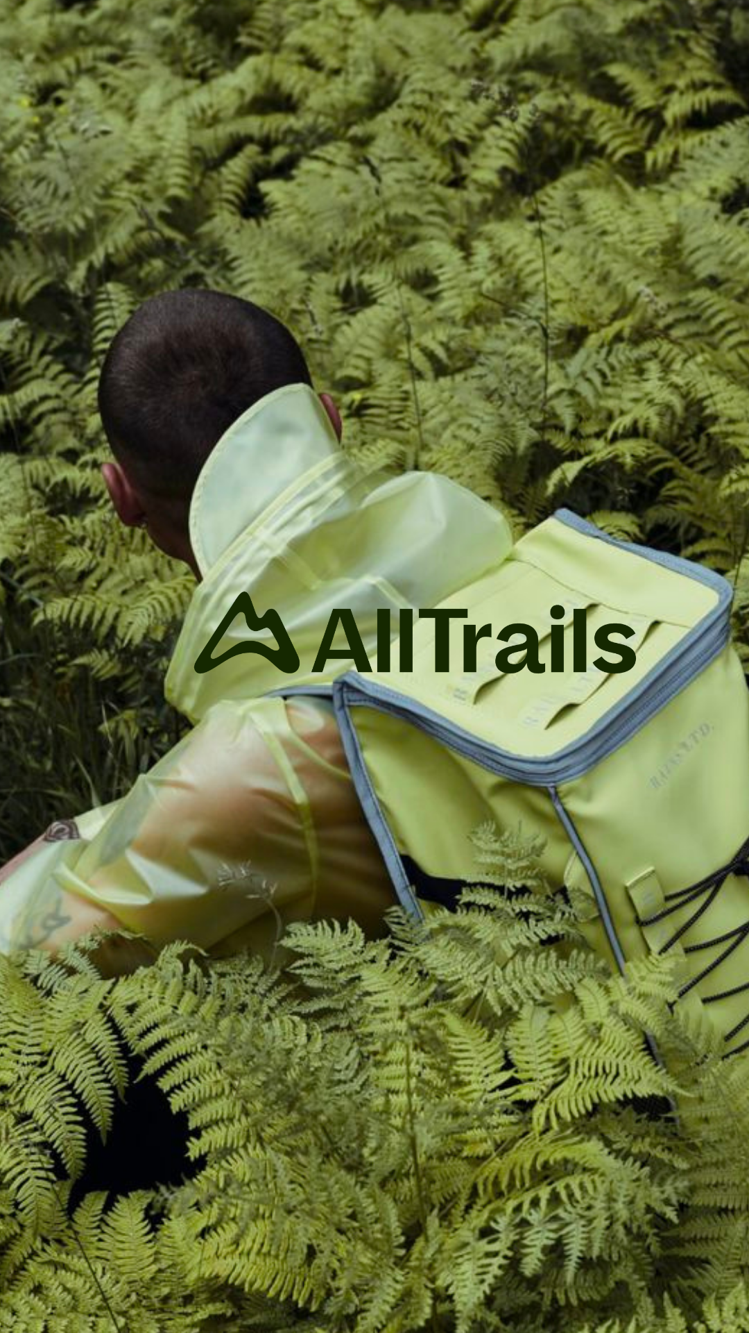 Untitled design-16.png