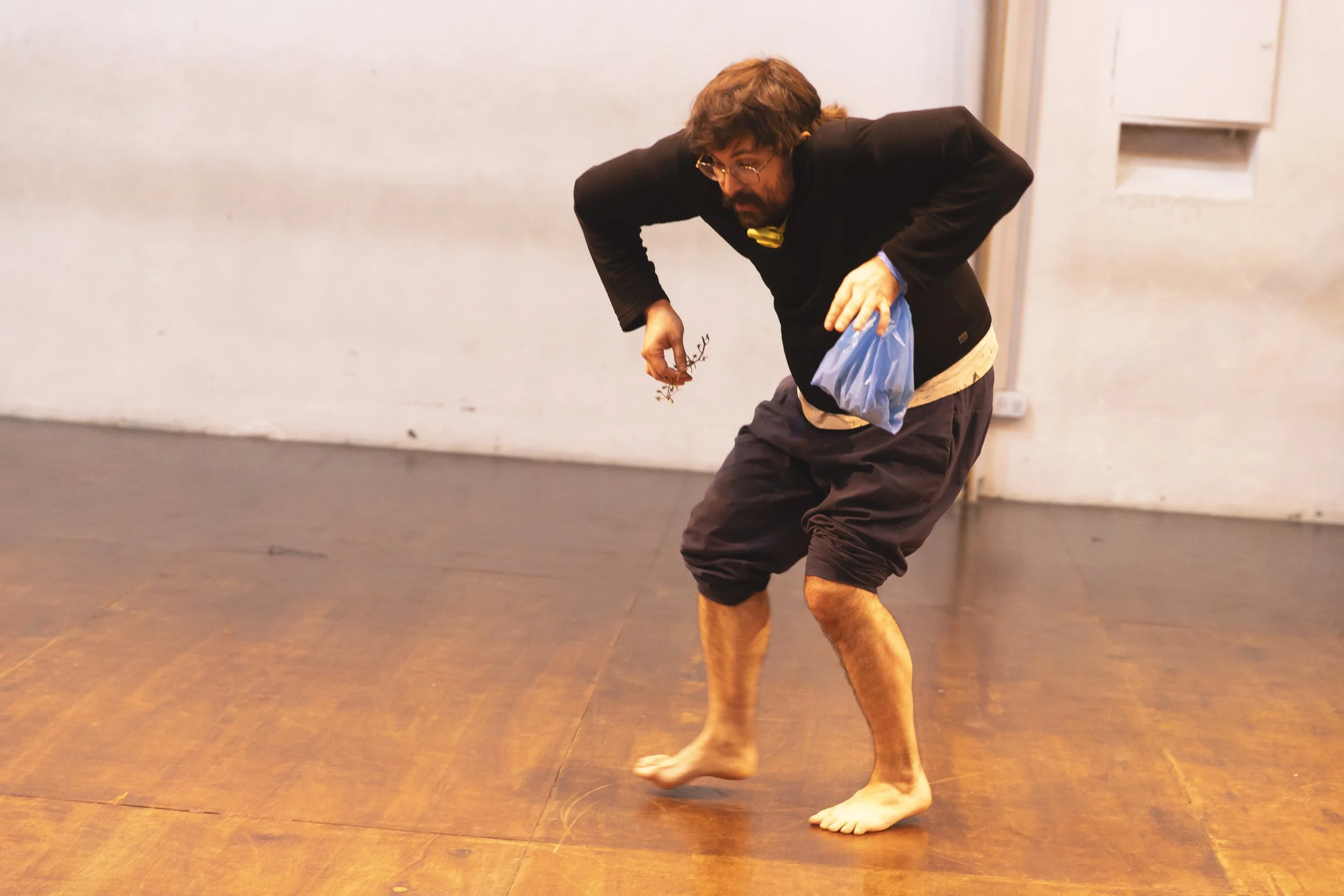 Mathieu P. Lapierre