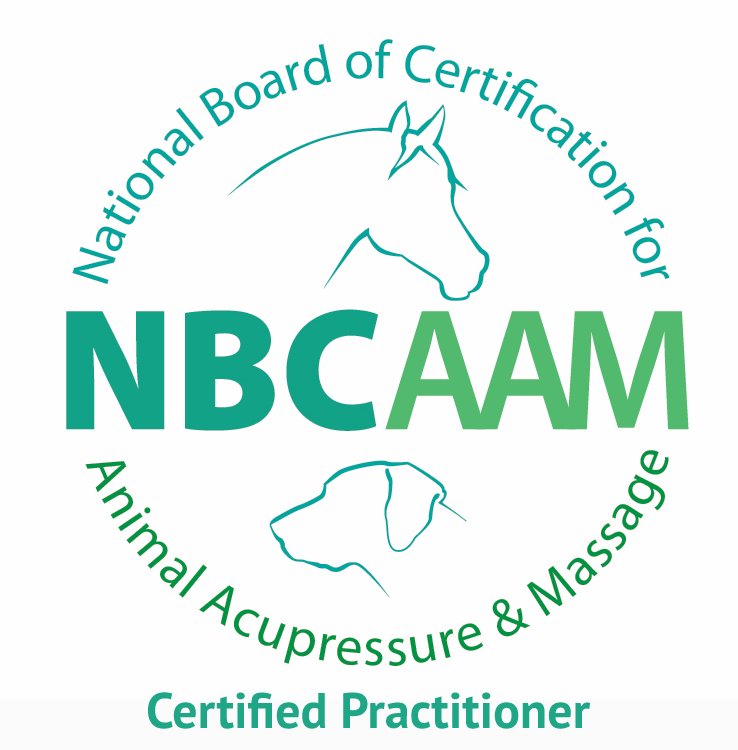 Logo for the National Board of Certification for Animal Acupressure & Massage (NBCAM), featuring a line drawing of a horse at the top and a dog at the bottom, with the text "NBCAM" in large letters and "Certified Practitioner" at the bottom, and the full name around the circles.