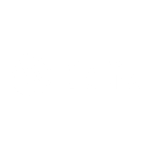 Telix logo