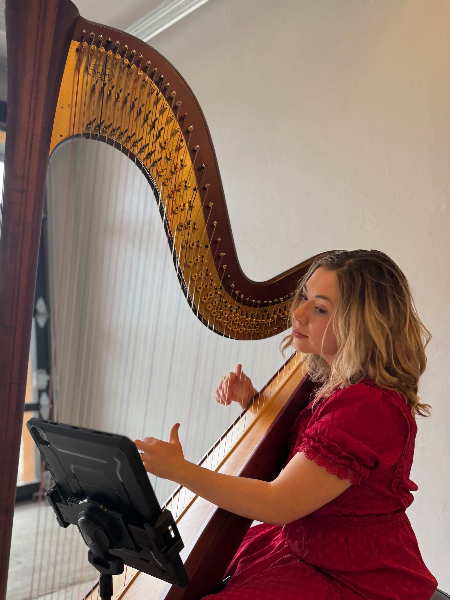 A woman in a red dress playing a harp with a music stand in front of her