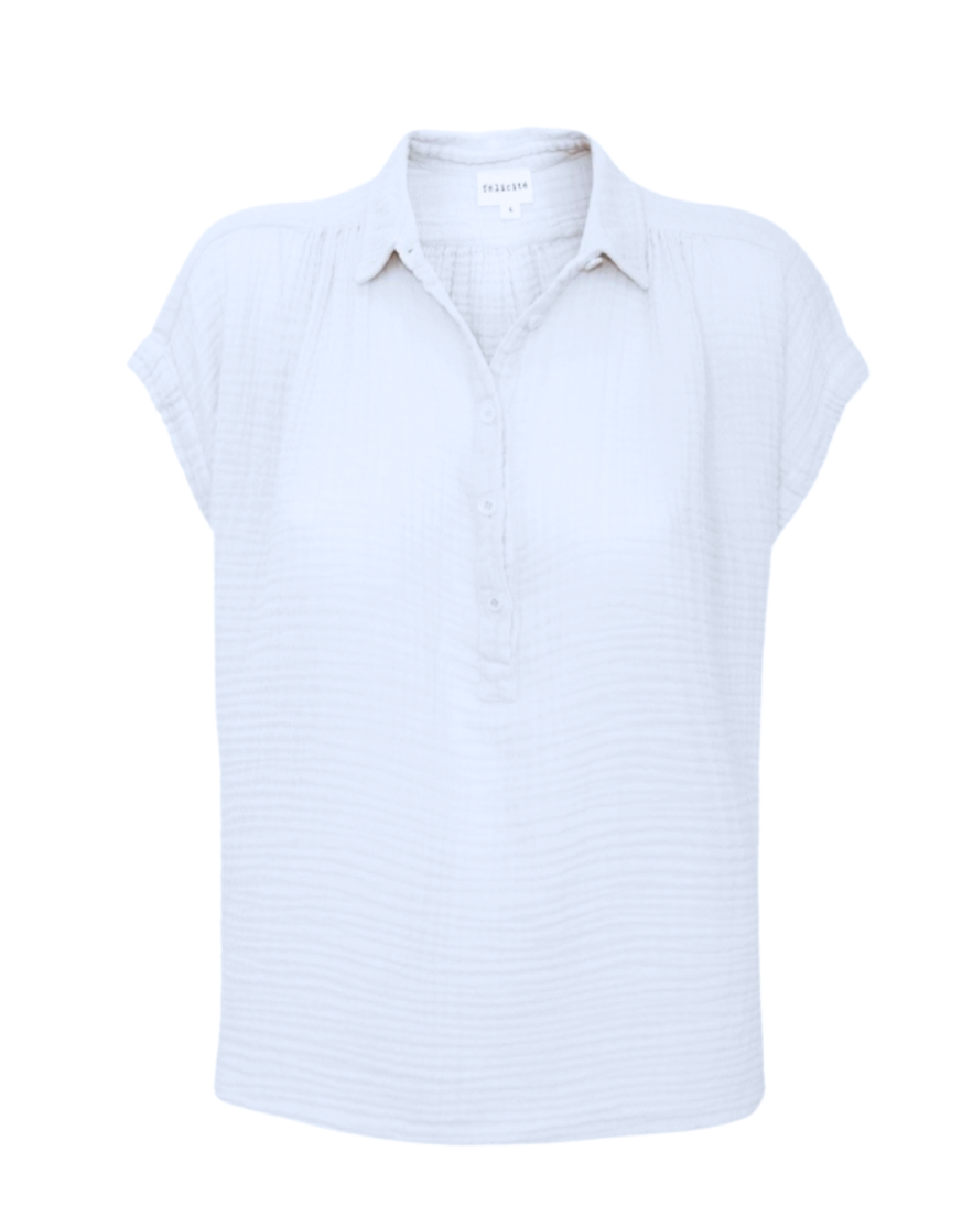 Screenshot 2026-03-09 at 12.09.03 PM.png