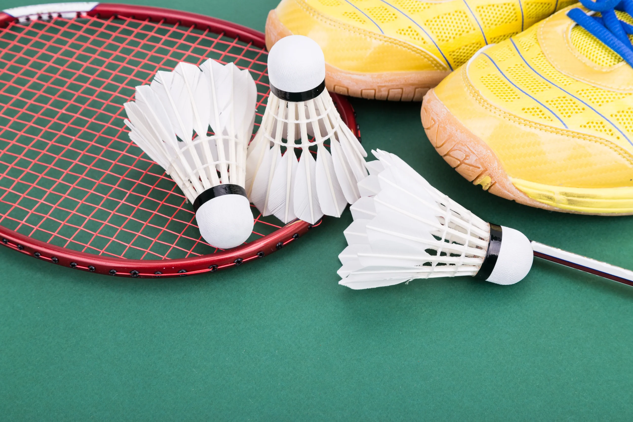 Drop-in Badminton