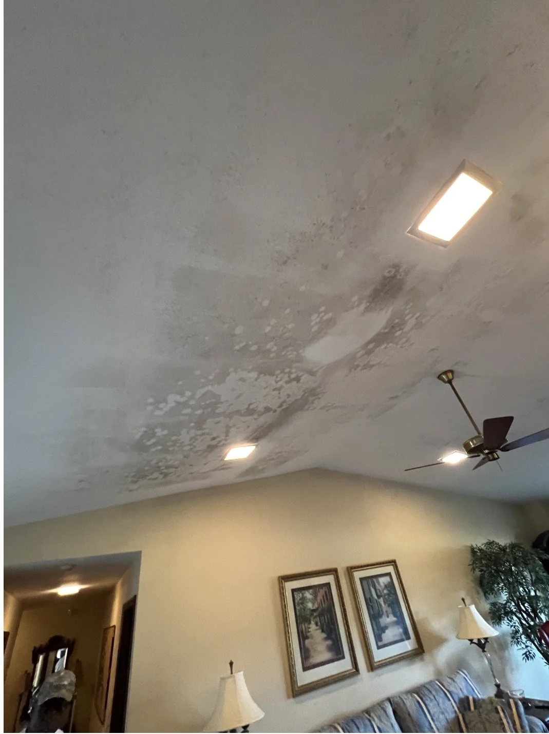 Ceiling with water damage and mold stains in a living room with paintings, lamps, a ceiling fan, and furniture.