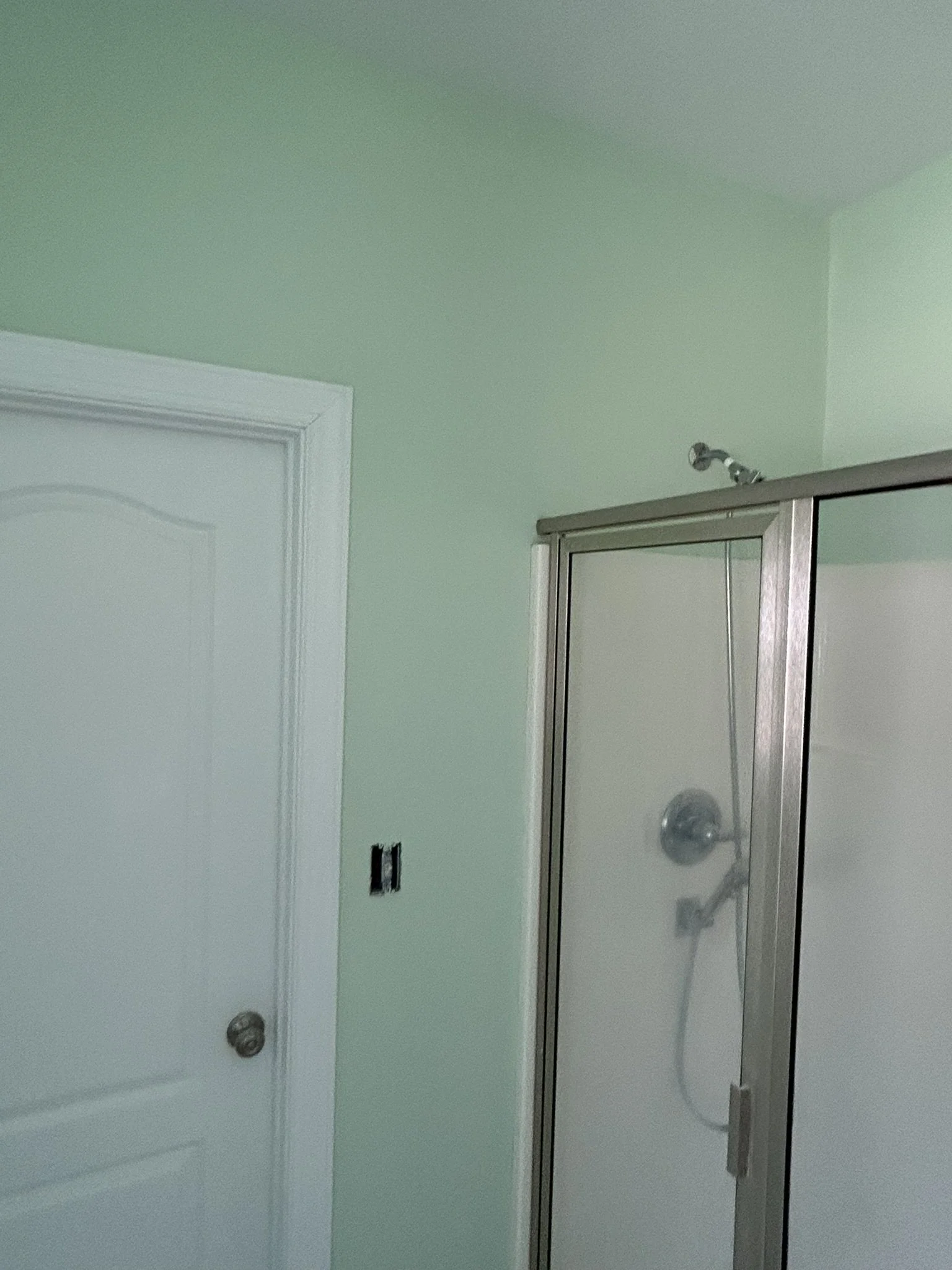 Bathroom with green walls, a white door, and a glass shower door with a silver frame, visible showerhead, and fixtures.