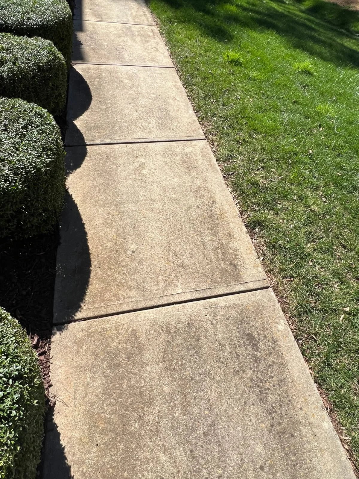 Concrete sidewalk with grass on the right and bushes on the left during daylight.