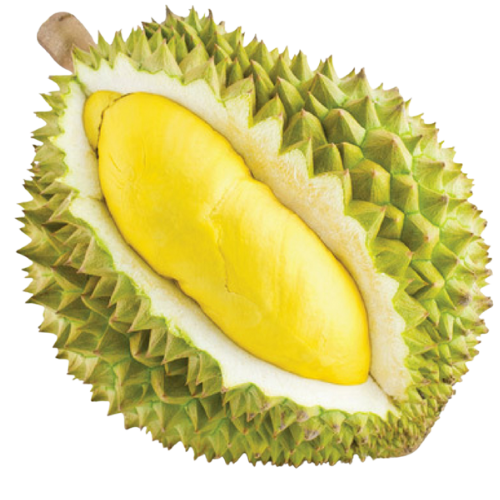 Cut open durian fruit showing yellow flesh inside