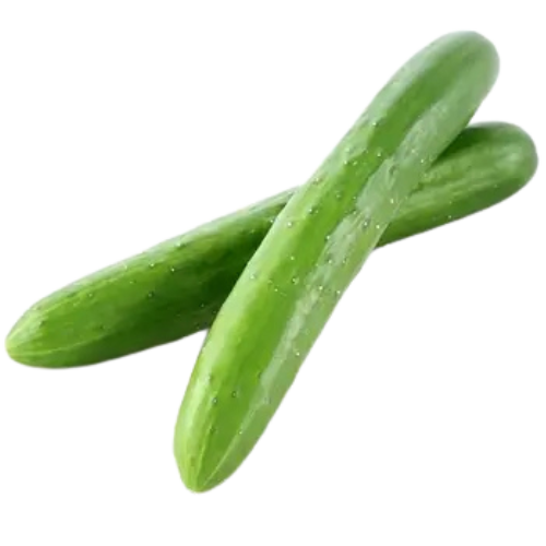 Three cucumbers with water droplets on a plain white background