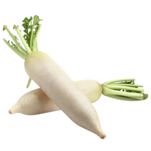 Three white radishes with green tops on a colorful background.