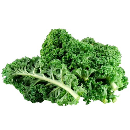 Fresh green kale leaves