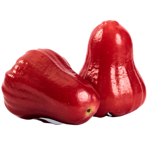 Two red rose apples with shiny skin, one slightly larger than the other.