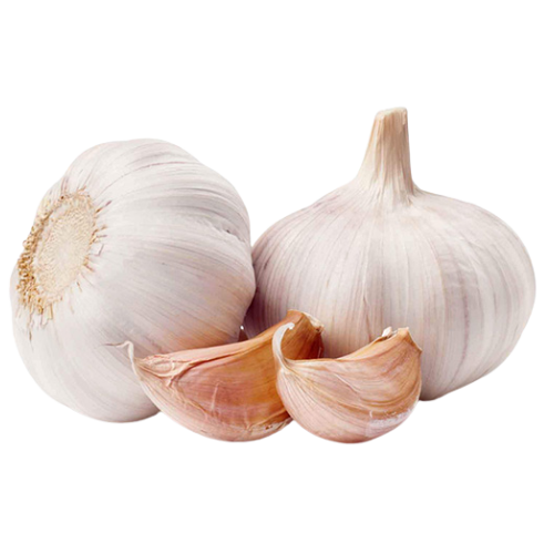 Two whole garlic bulbs and two garlic cloves on a white background.