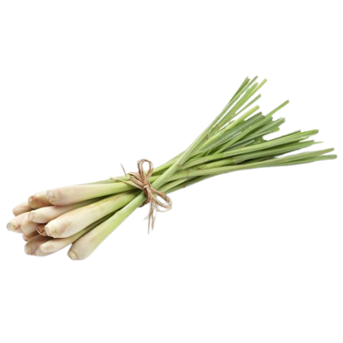 Fresh white asparagus bunch tied with a brown string.