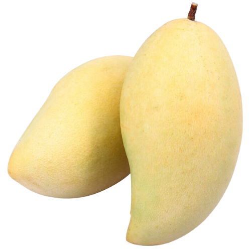 Two ripe yellow pears, one leaning against the other.