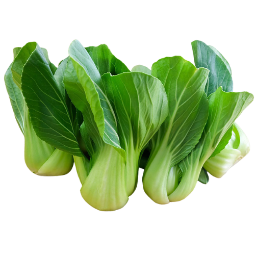 Siew Pak Choi กวางตุ้งฮ่องเต้