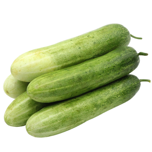 Four cucumbers stacked on top of each other.