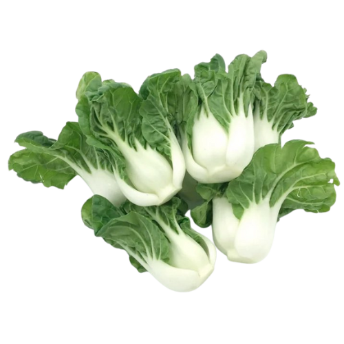 Four bok choy vegetables with green leaves and white stalks.