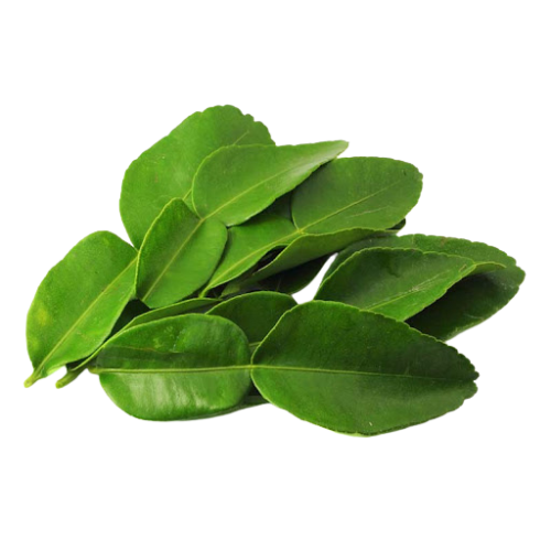 A group of fresh green tea leaves on a black background
