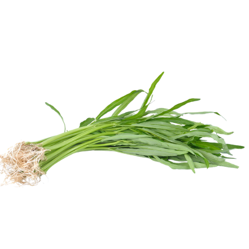 Fresh green garlic with roots attached, on a multicolored background.