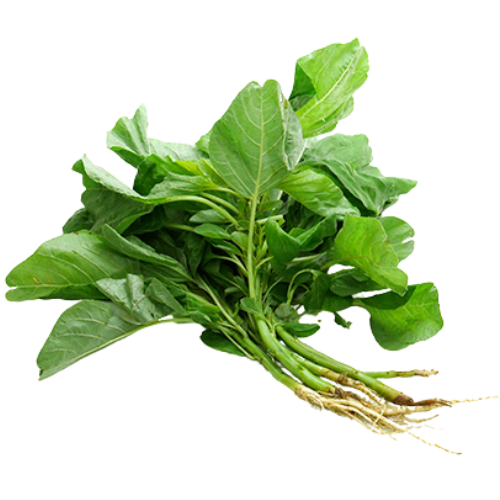 Fresh green bunch of spinach leaves with roots