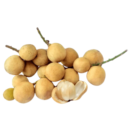 Cluster of longan fruits with one peeled to reveal the translucent flesh.