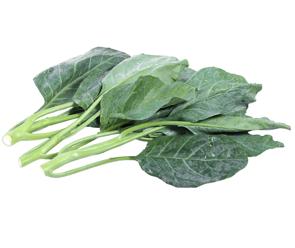Fresh collard greens with green stems and large dark green leaves